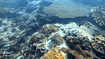 20251013-1ern0 20251013-1ern0