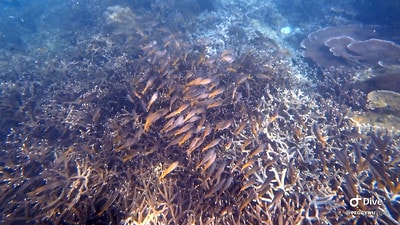 20251013-20cr5 20251013-20cr5