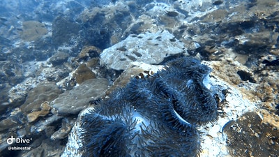 20251013-2ymmh 20251013-2ymmh