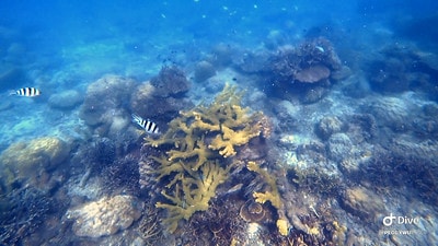 20251013-5g5zc 20251013-5g5zc