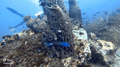 20251013-61p59 20251013-61p59