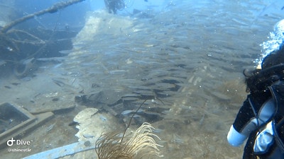 20251013-6mucn 20251013-6mucn