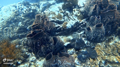 20251013-7mkwo 20251013-7mkwo