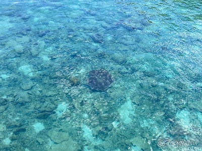 20251013-7um4l 20251013-7um4l