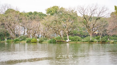 20251013-8q9g3 20251013-8q9g3