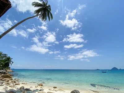 20251013-9b8e3 20251013-9b8e3