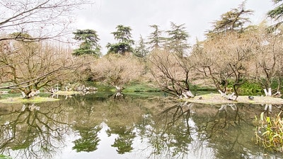 20251013-9ullt 20251013-9ullt