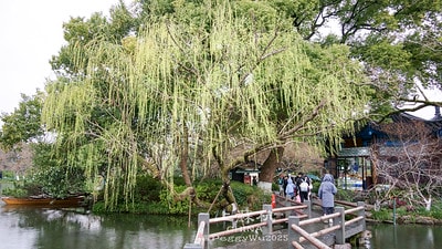 20251013-b86zh 20251013-b86zh