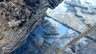 20251013-fbbca 20251013-fbbca