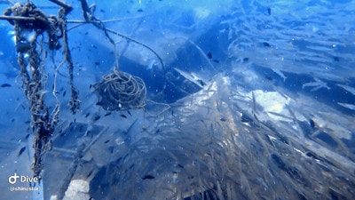 20251013-fhvq2 20251013-fhvq2