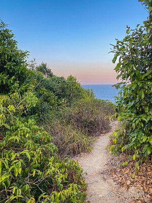 20251013-fjou7 20251013-fjou7