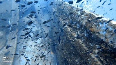 20251013-g9c4f 20251013-g9c4f