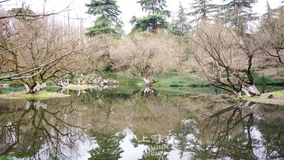 20251013-j94gu 20251013-j94gu