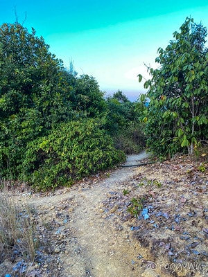 20251013-l010d 20251013-l010d