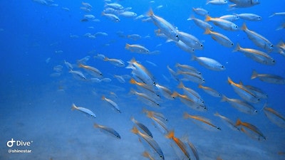 20251013-lu3jy 20251013-lu3jy