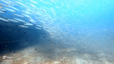 20251013-mx0ty 20251013-mx0ty