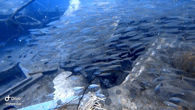 20251013-o1lcw 20251013-o1lcw