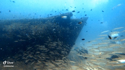 20251013-oa85a 20251013-oa85a