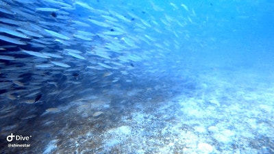 20251013-pdamc 20251013-pdamc