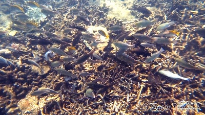 20251013-r7oyp 20251013-r7oyp