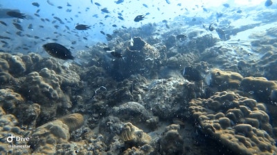 20251013-sjj2q 20251013-sjj2q