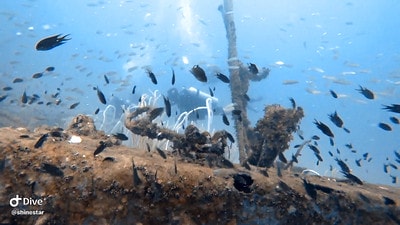 20251013-suxld 20251013-suxld