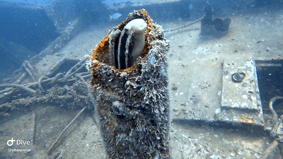 20251013-svctc 20251013-svctc