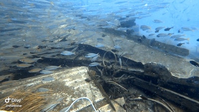 20251013-tb7e0 20251013-tb7e0