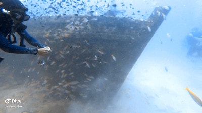 20251013-td7df 20251013-td7df