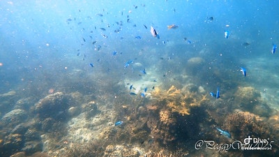 20251013-u1tnx 20251013-u1tnx