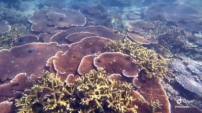 20251013-v21j6 20251013-v21j6