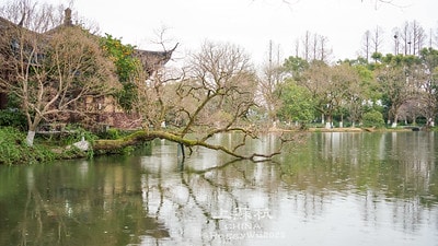 20251013-w6xd8 20251013-w6xd8