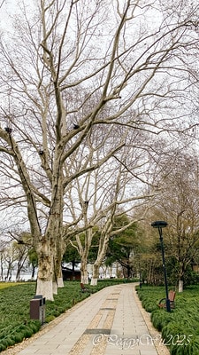 20251013-xhcro 20251013-xhcro