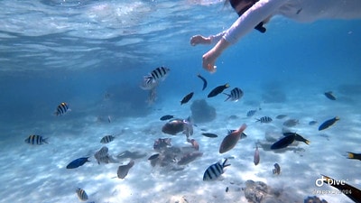 20251013-xreze 20251013-xreze