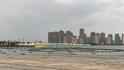 20251013-013sv 20251013-013sv