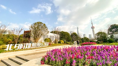 20251013-302rb 20251013-302rb