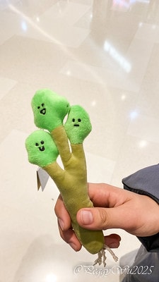 20251013-slvyb 20251013-slvyb