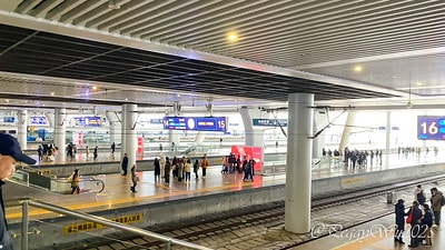 20251013-wk80b 20251013-wk80b