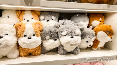 20251013-yph3s 20251013-yph3s