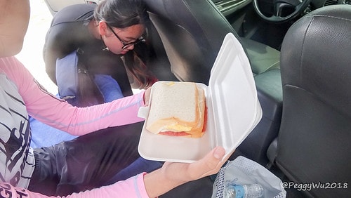 CFNetworkDownload_LznpyP