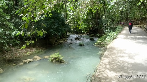 CFNetworkDownload_t5RTOi