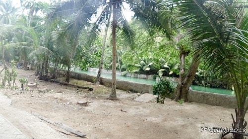 CFNetworkDownload_8yvCMH