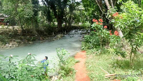 CFNetworkDownload_EOY6WI