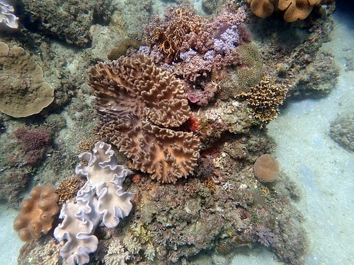 15909115491451724696285