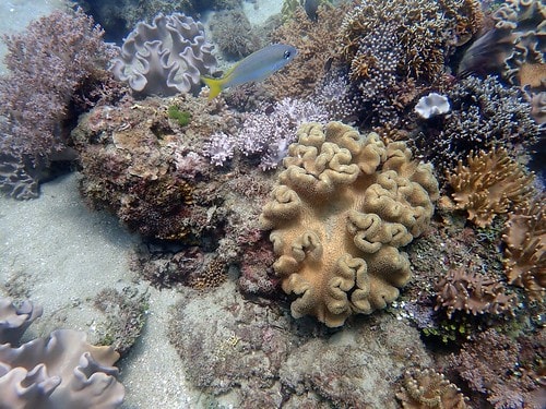 1590911568018-718876175