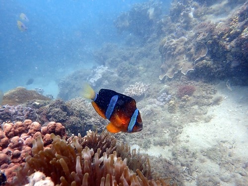 15909116208521120154112