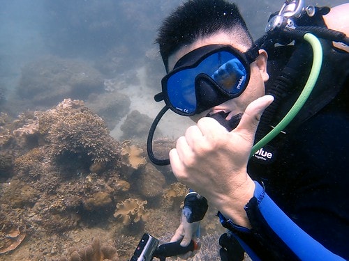 15909117049021378846344