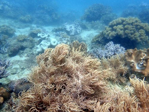 1590911720097-259538016