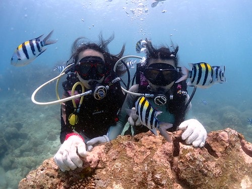 15909119311371552331784