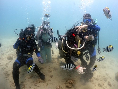 1590912187310315363646